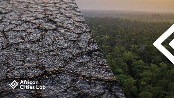 African Urban Economic Development in the Context of Climate Change 002